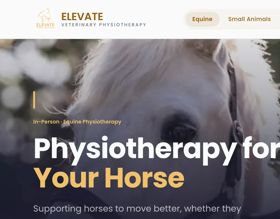 The practice’s equine page: Physiotherapy for your horse, with Book an appointment and Our treatments buttons.