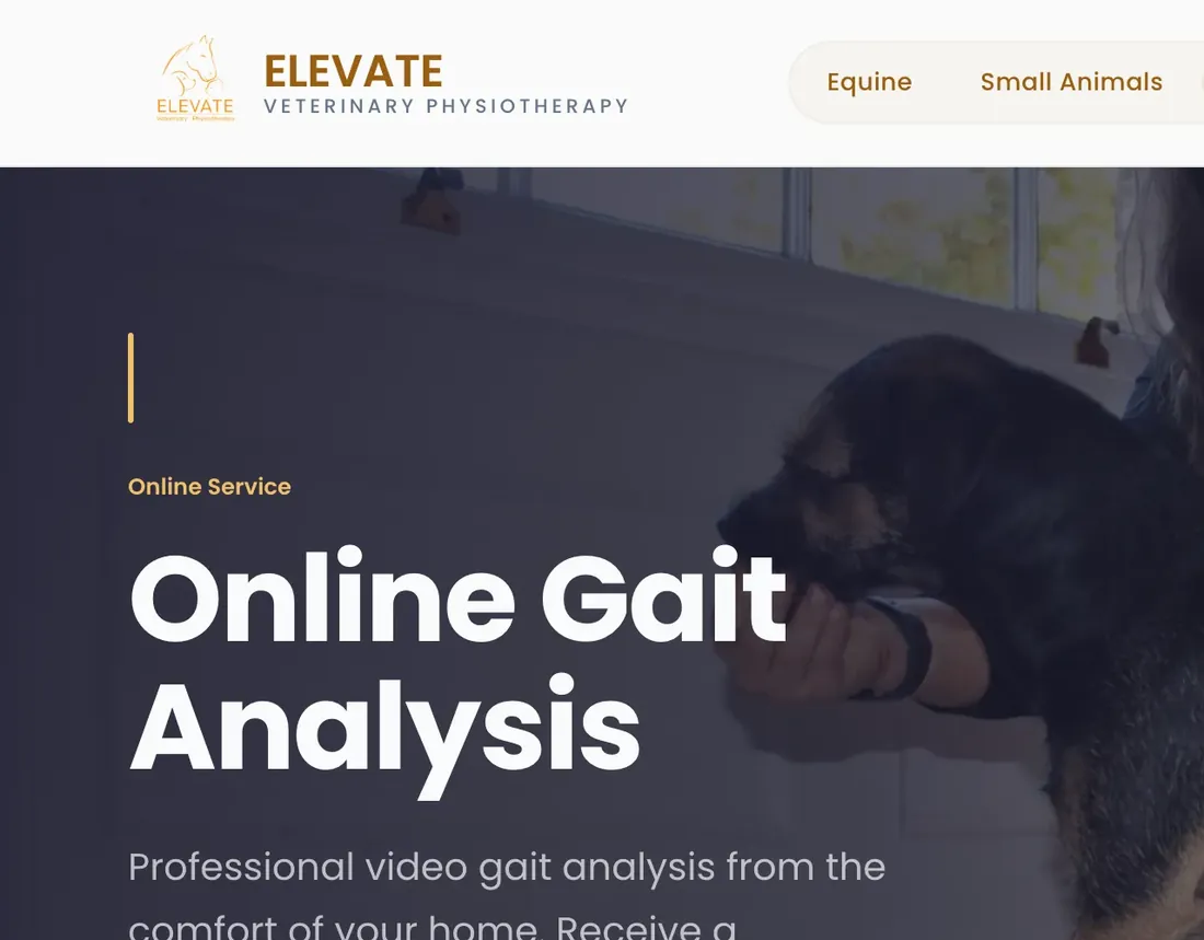 The practice’s Online Gait Analysis page: professional video gait analysis from home for £100, with a Book your analysis button.