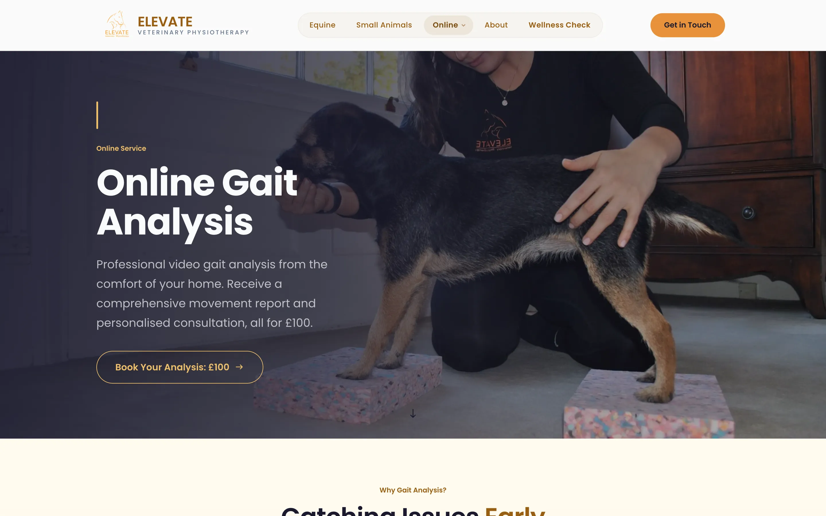 The practice’s Online Gait Analysis page: professional video gait analysis from home for £100, with a Book your analysis button.