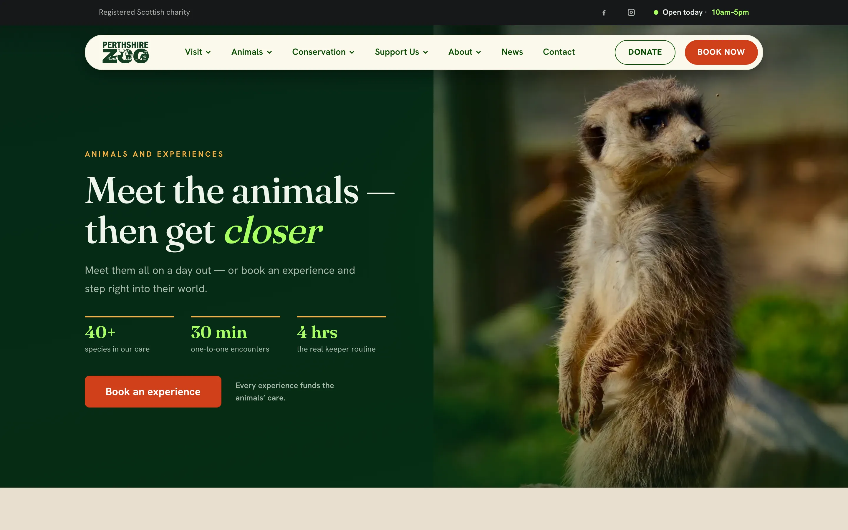 Perthshire Zoo’s website: Meet the animals, then get closer, with 40+ species, 30-minute one-to-one encounters and a Book an experience button.