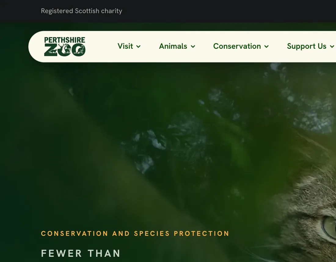 Perthshire Zoo’s website: Conservation, with fewer than 350 Scottish wildcats left in the wild and a Help protect these species button.