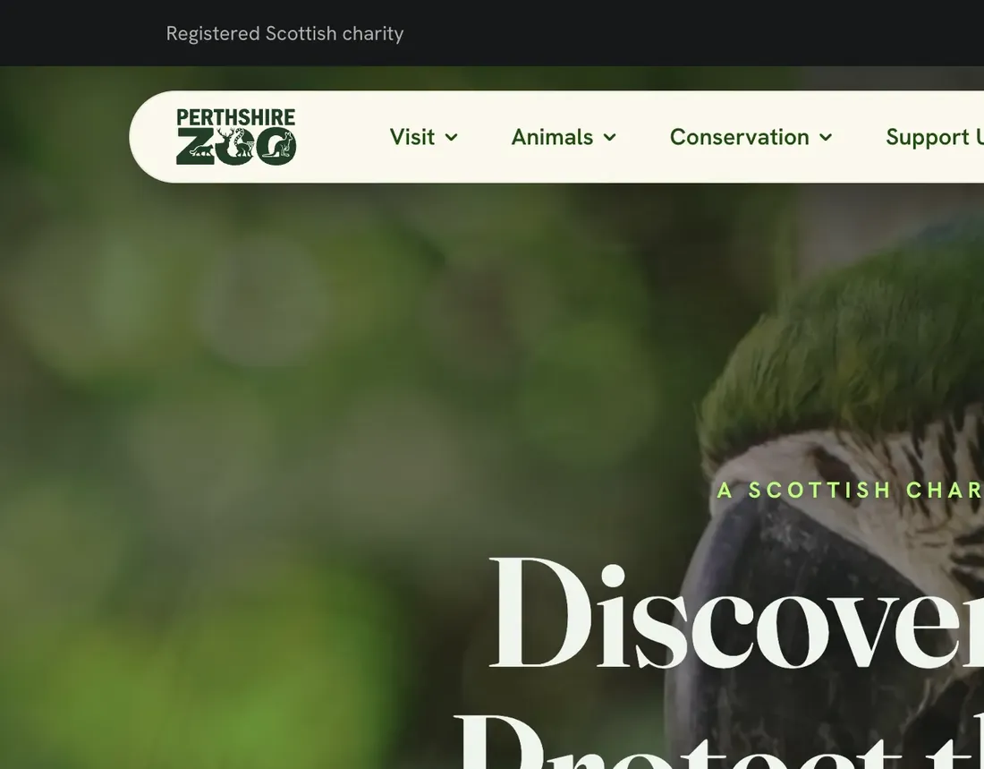 Perthshire Zoo’s website on a desktop: Discover Wildlife. Protect the Future., with Support Our Animals and Visit Us buttons, Donate and Book Now in the header, and menus for Visit, Animals, Conservation, Support Us, About, News and Contact.