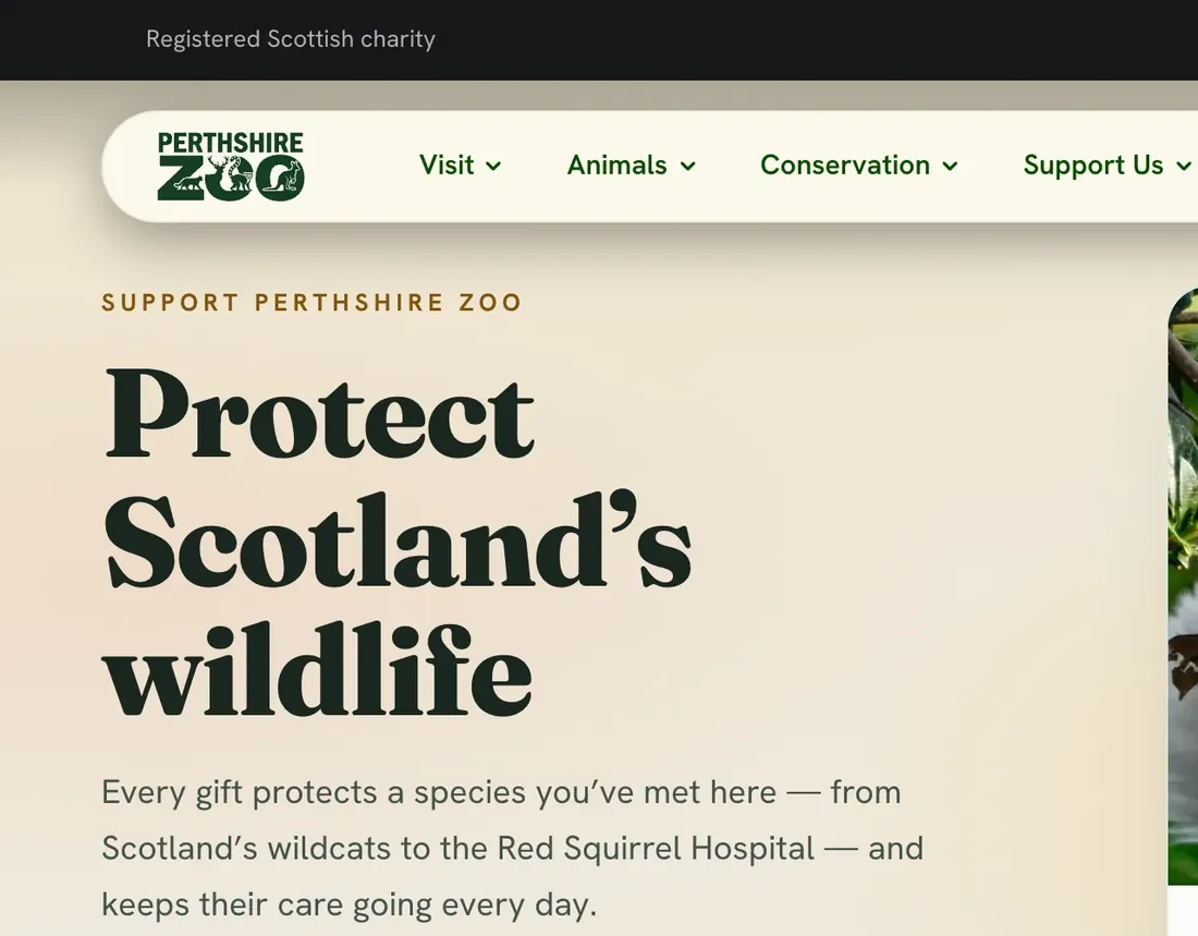 Perthshire Zoo’s website: Protect Scotland’s wildlife, with what a gift does and a Donate now button.