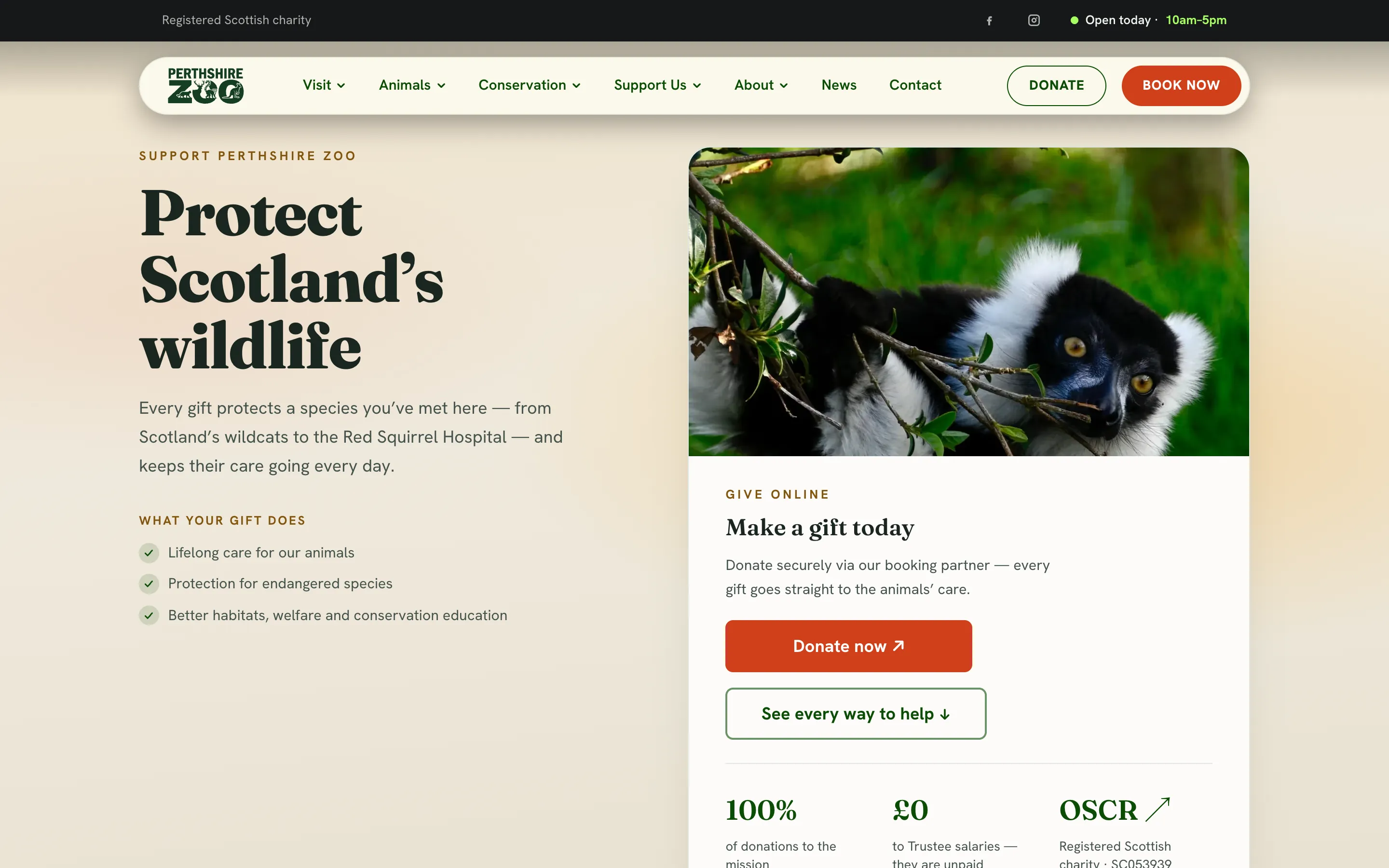 Perthshire Zoo’s website: Protect Scotland’s wildlife, with what a gift does and a Donate now button.