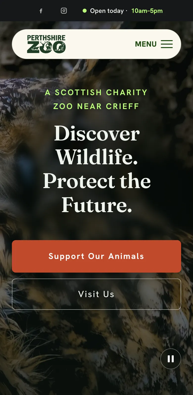 Perthshire Zoo’s website on a phone: Discover Wildlife. Protect the Future., with Support Our Animals and Visit Us buttons and today’s opening hours, 10am to 5pm.